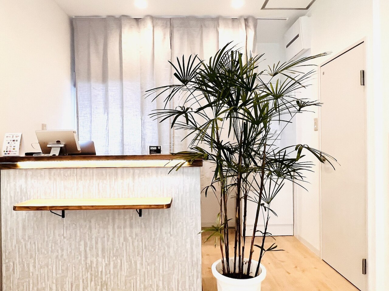 アットホームな店内